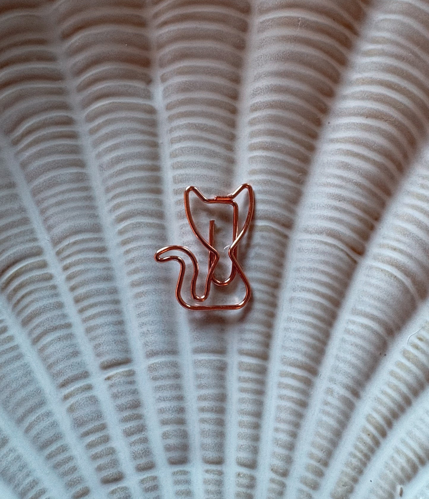 Oppskriftmarkør katter