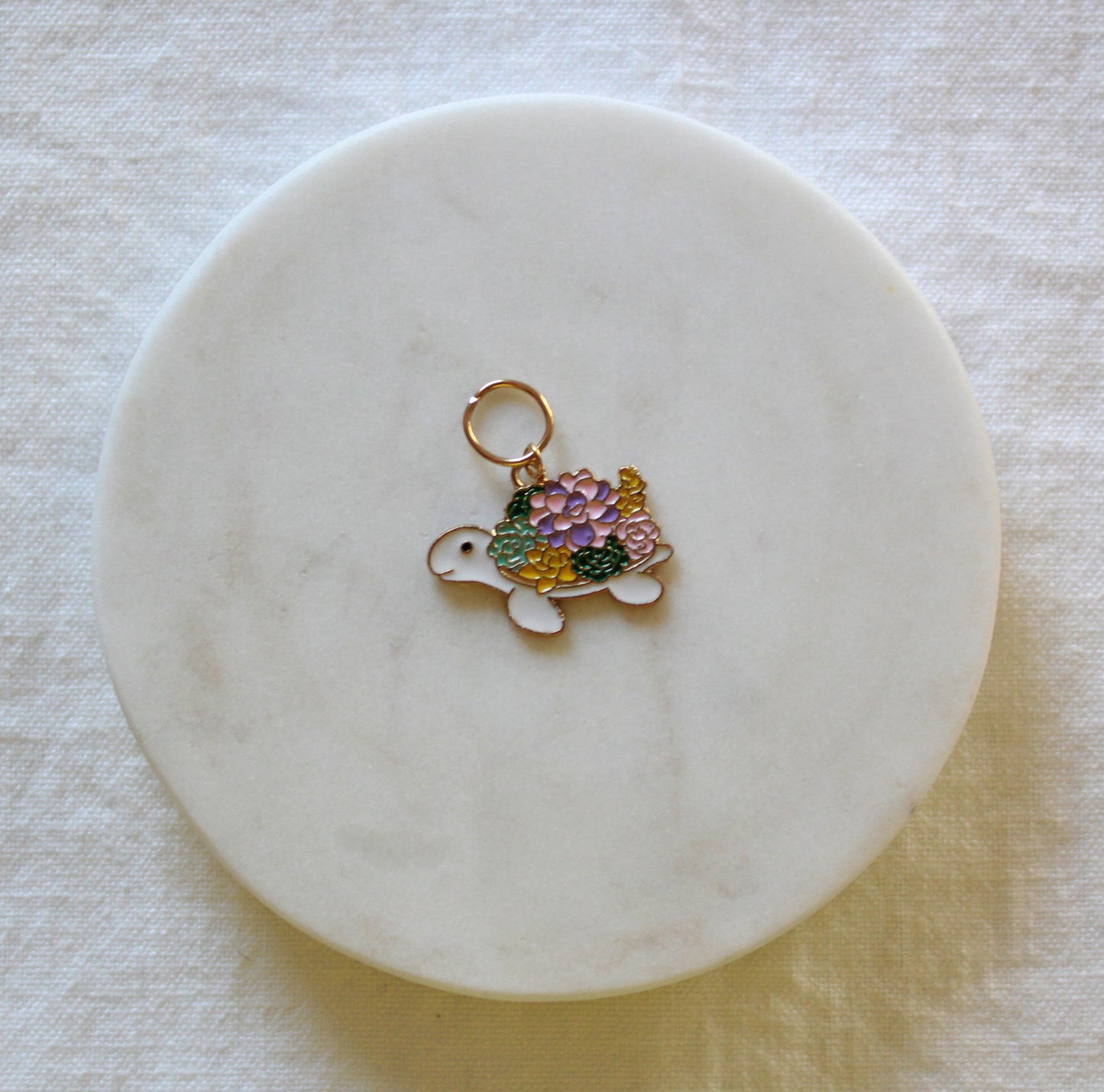 Skilpadden Korallius