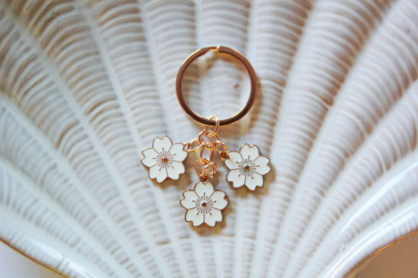 Hvite kirsebærblomster