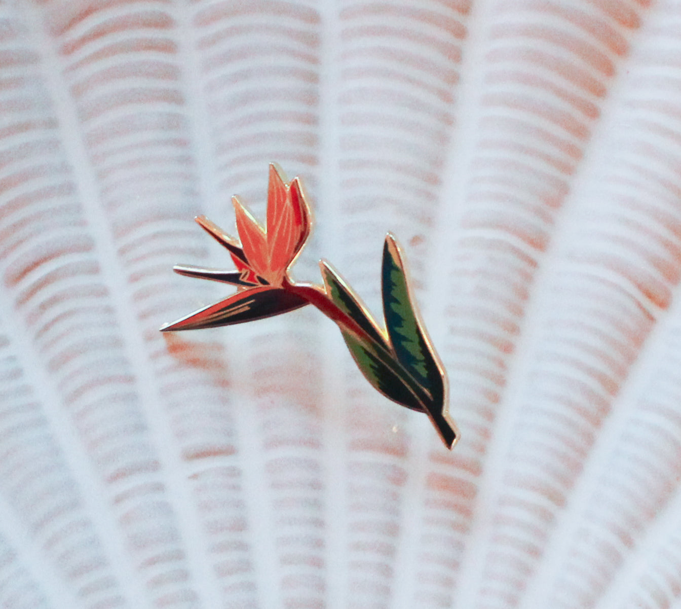 Strelitzia