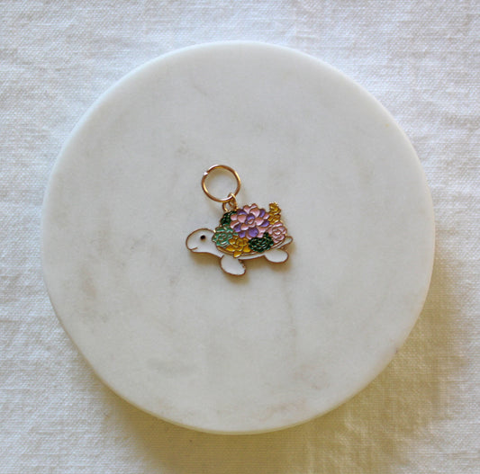 Skilpadden Korallius