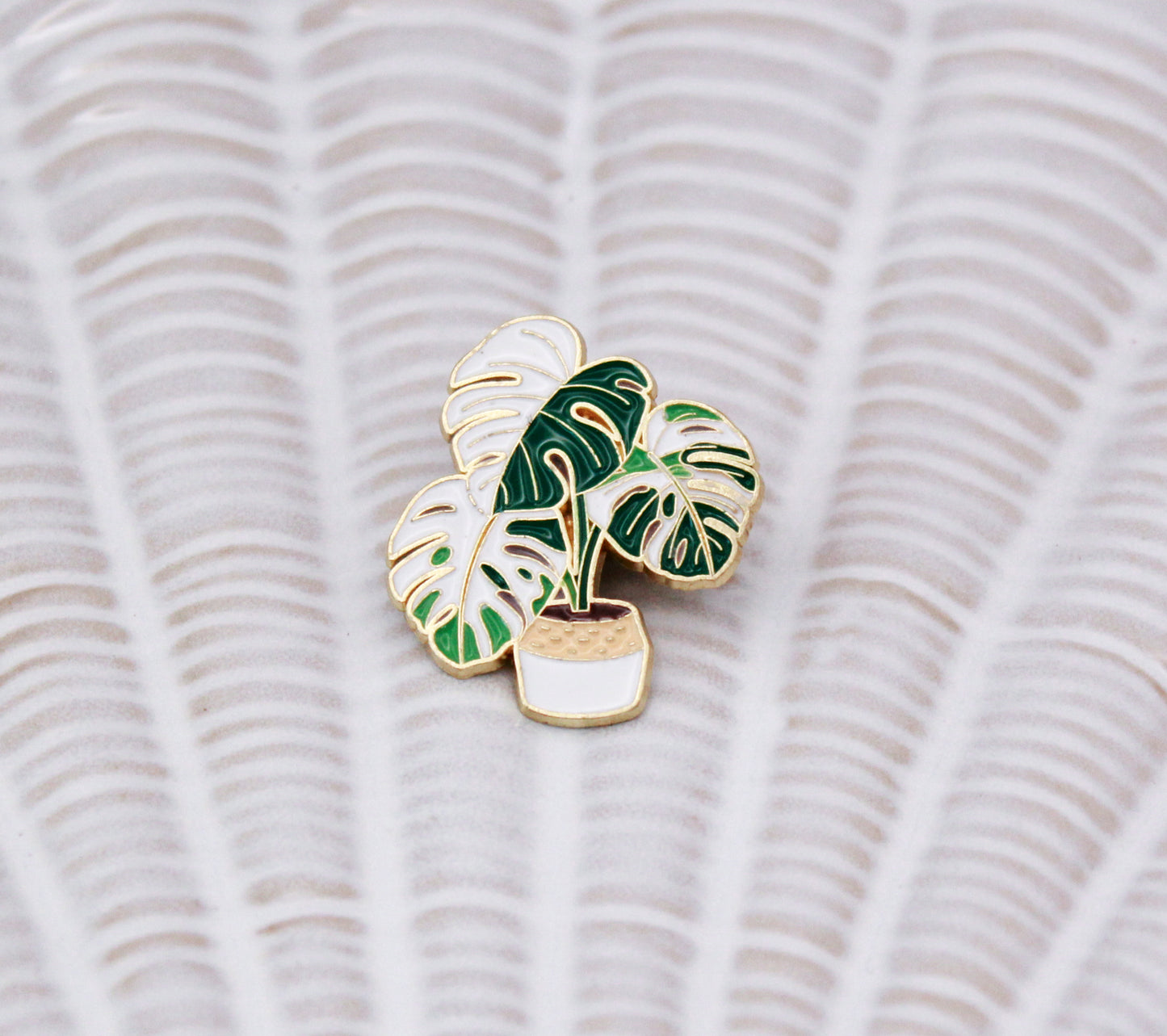 Monstera variegata pin!