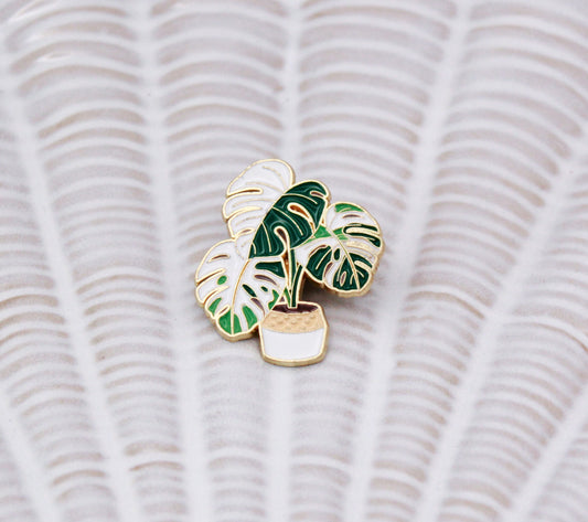 Monstera variegata pin!